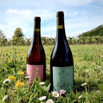 Halite Wines