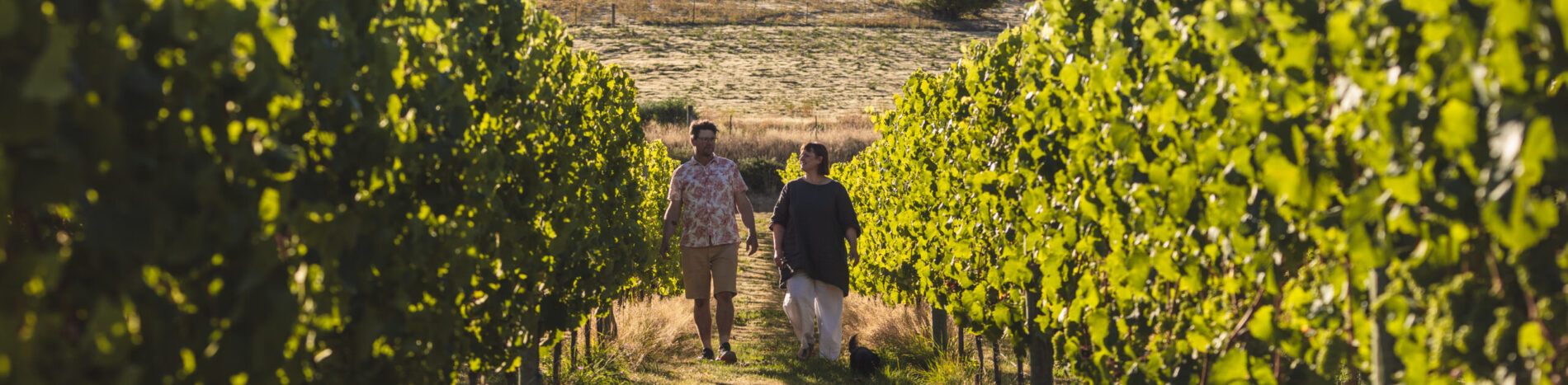 O naturel Wines